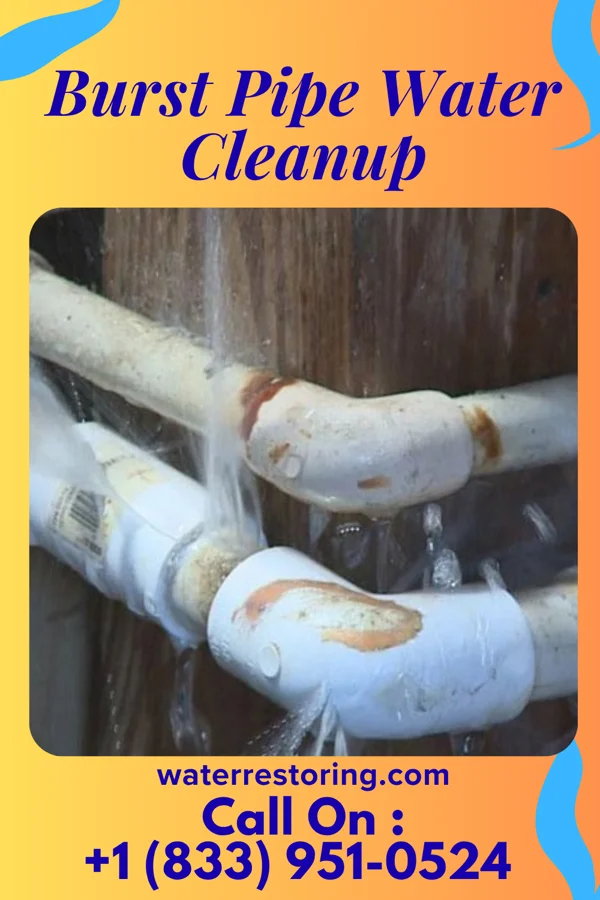 Burst Pipe Water Cleanup in Brook, IN