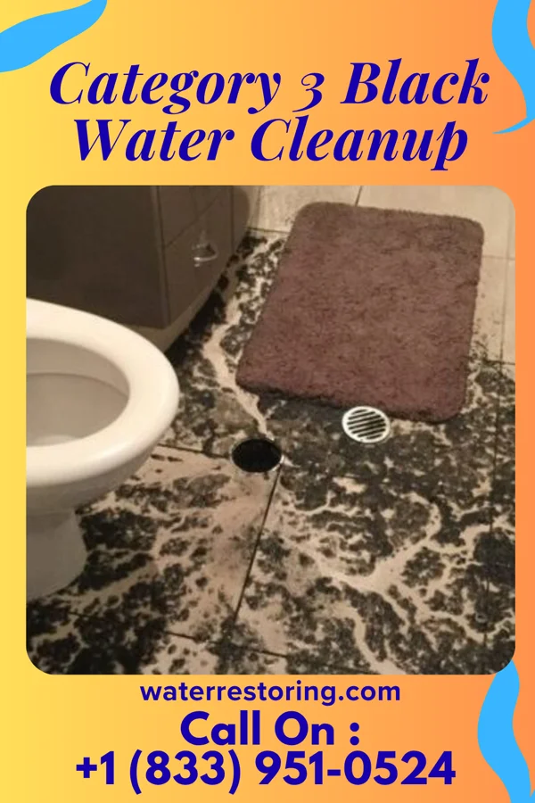 Category 3 Black Water Cleanup in Brook, IN