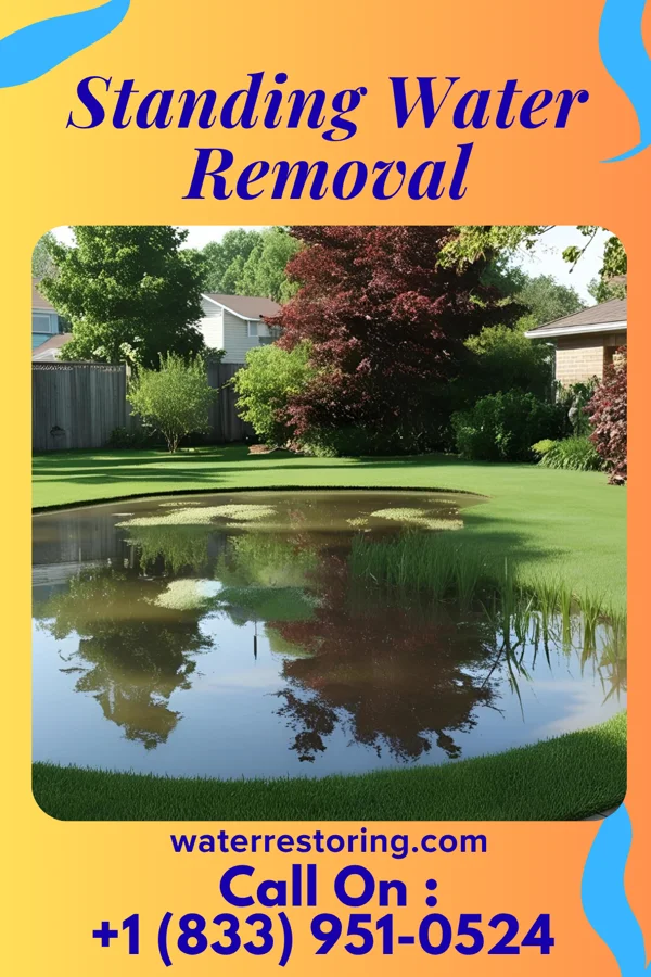 Standing Water Removal in Brook, IN